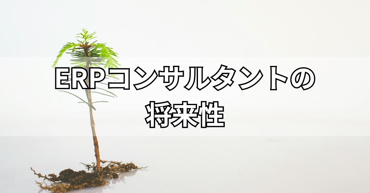 ERPコンサルタントの将来性