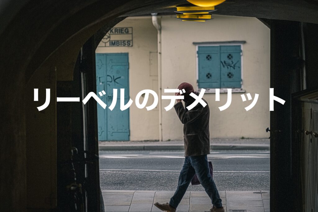 リーベルのデメリット