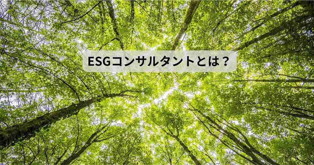 ESGコンサルタントとは？