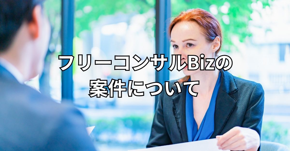 フリーコンサルBizの案件について
