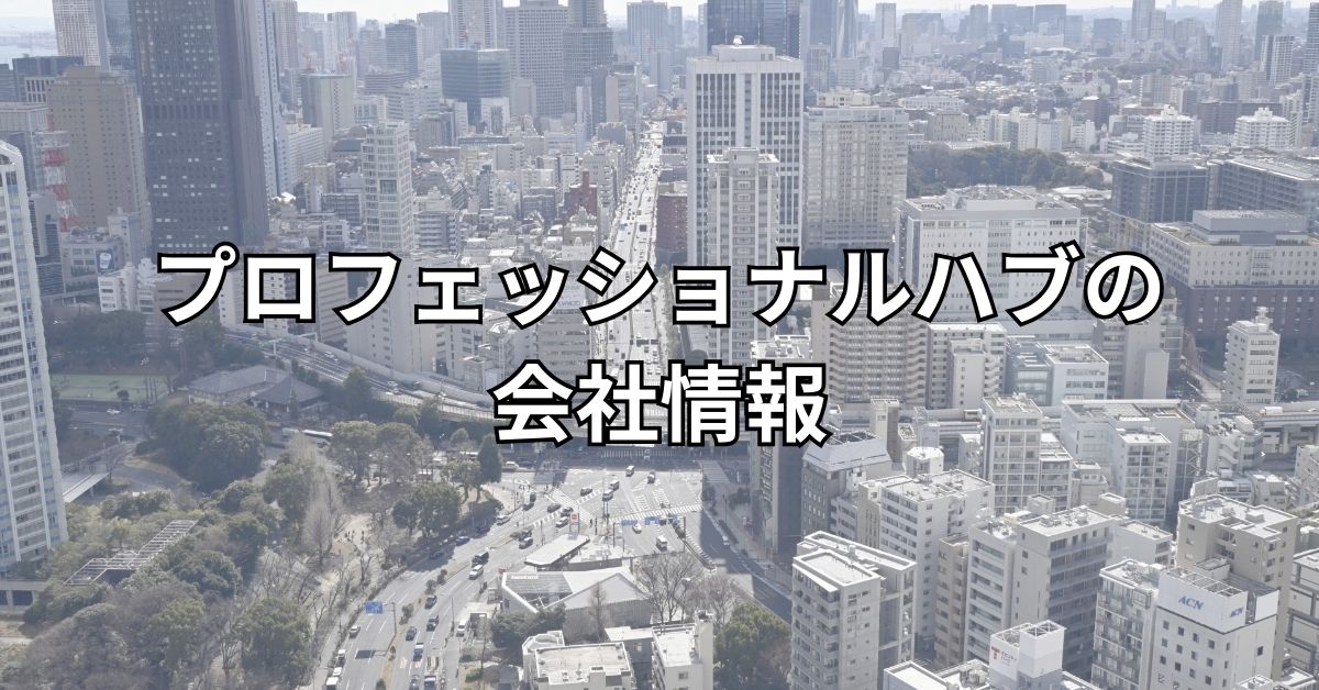 プロフェッショナルハブの会社情報