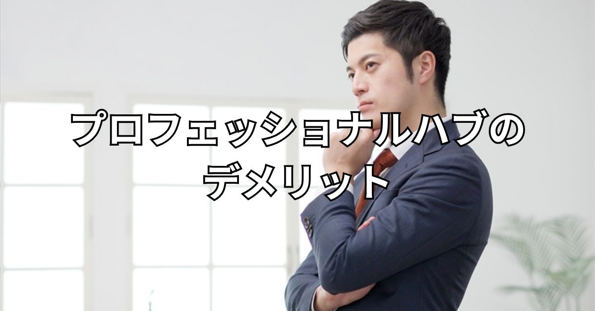 プロフェッショナルハブのデメリット