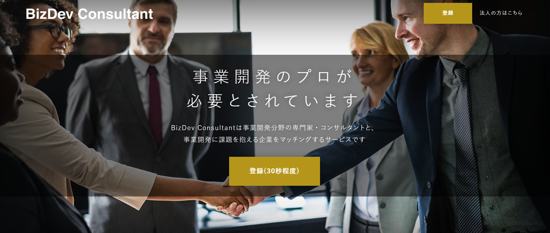 BizDev Consultant