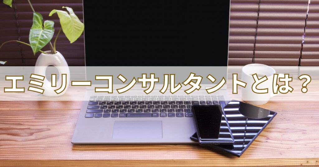 エミリーコンサルタントとは?