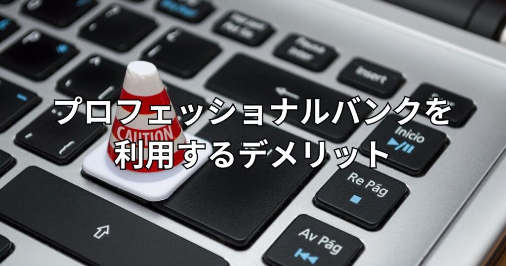 プロフェッショナルバンクを利用するデメリット